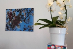Postersurcartonmousse